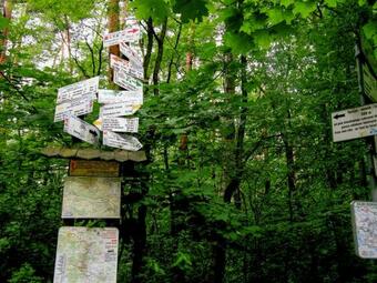 Agroturystyka Podzamcze