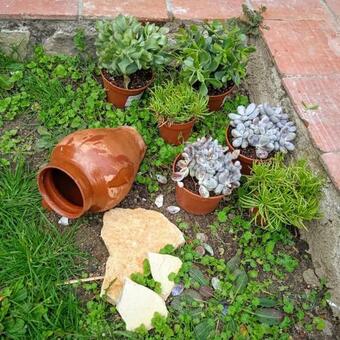 Casa Florentino. Casa Rural Centenaria.