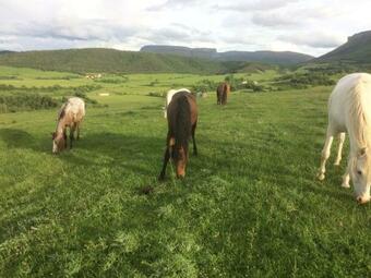 Agroturismo Casa Rural El Ribero
