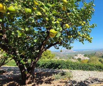 Apartamento Casa De Limones