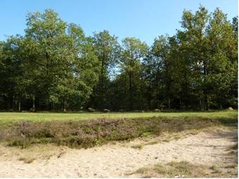 Hotel Wapen Van Exloo