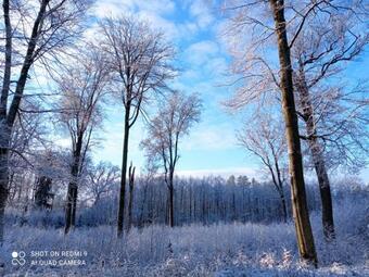 Villa Apartamenty Bia?e Brzozy
