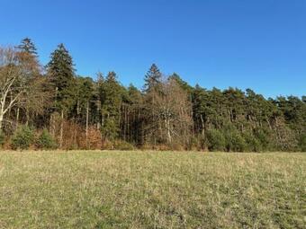 Domki Marysia Machowinko