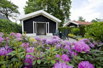 Bed & Breakfast Pension De Eijckenhoff