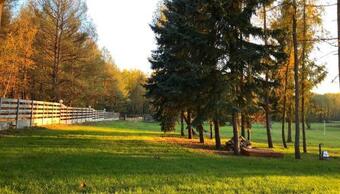 Agroturystyka Plener