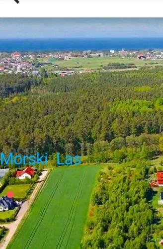 Villa Willa Morski Las
