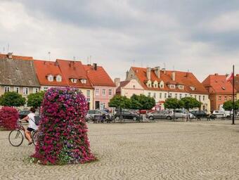 Fio?kowe Apartamenty W Dolinie Baryczy