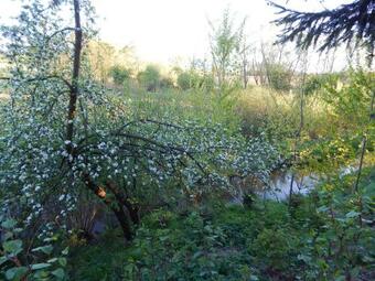 Pokoje Go?cinne Ostoja