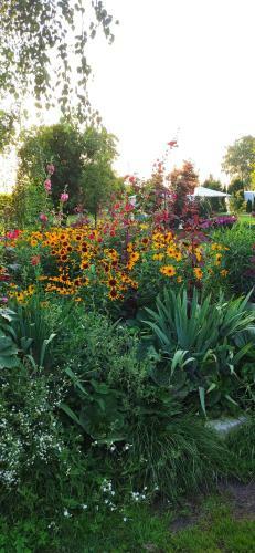 Agroturystyka U Pruszy?skich