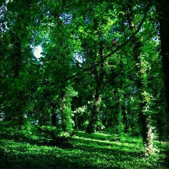 Bed & Breakfast Willa Mory?