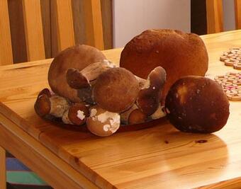 Agroturystyka Lisa M?yn