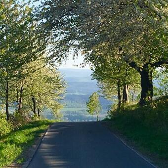 Koko Ryku Agroturystyka