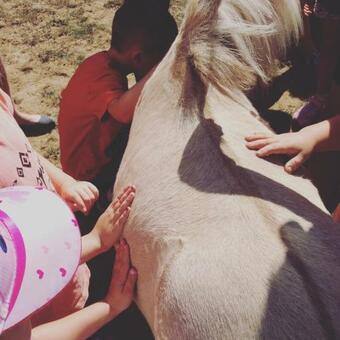 Agroturismo Toskania Kociewska