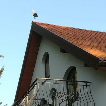 Bed & Breakfast Go?ciniec Twoje Mazury Nad Jeziorem ?niardwy Tu? Obok Pla?y