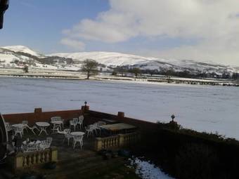 Bed & Breakfast Tall Trees