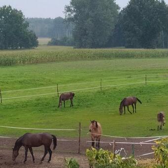 Wr�bl�wka- Domek Na Wsi