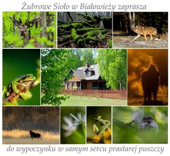 Apartament Jasi?skiego Z Ogrodem