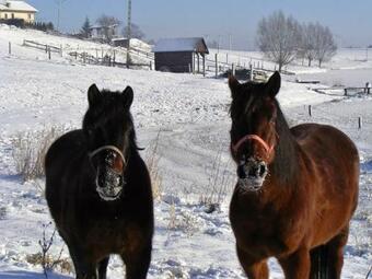 Agroturystyka Nad Jeziorem Piecki