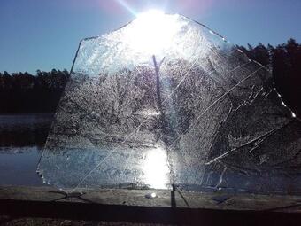 Apartament Si�demka