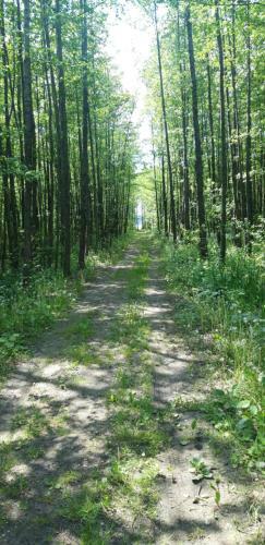 Hostal Pensjonat Rosochate Wzg�rze