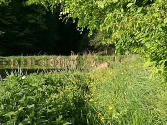 Agroturystyka U Krystyny