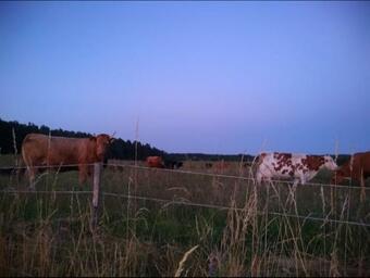 Agroturismo Zacisze Przy Lesie