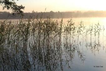 Drewniany Domek Nad Jeziorem W Sitnie