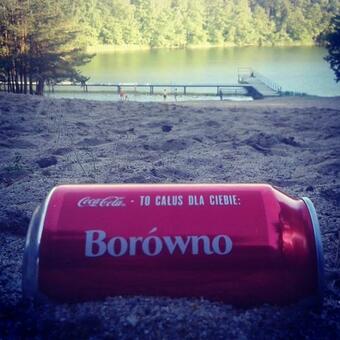 Lodge Domek Letniskowy-realizujemy Bony Turystyczne!