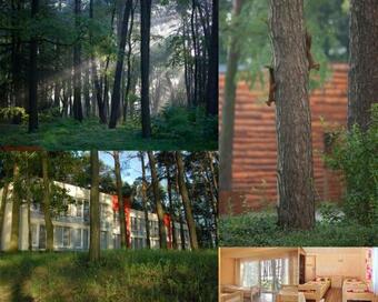 Domki Wakacyjne Delfin ?lesin