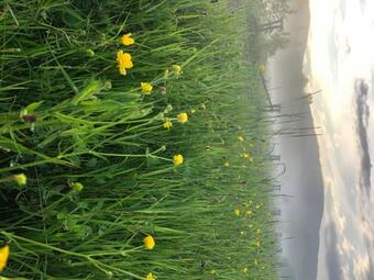 Kruszyna - Domek Z Widokiem Na Po?oniny