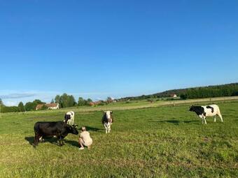 Agroturismo Domek W Sadzie Na Mazurach