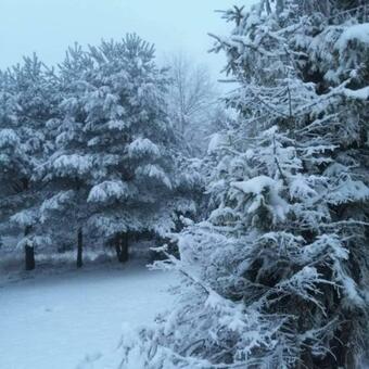 Apartamento Kry?ka - Domki Pod Leskowcem