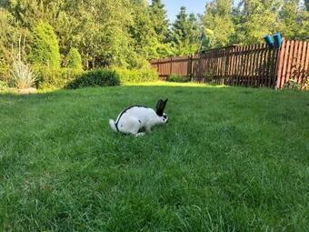 Agroturismo Sielski Zak?tek Tokary