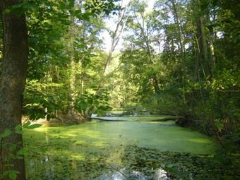 Agroturismo Dom Przy Rezerwacie