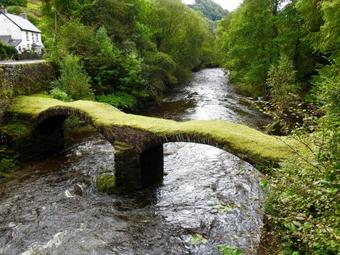 Ty Derw Country House B&B