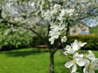 Bed & Breakfast Dom Wczasowy Irys