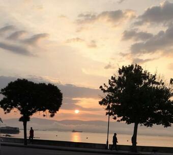 Casita Enfrente A La Playa A Casucha