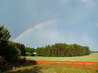 Lodge Domki W Borach