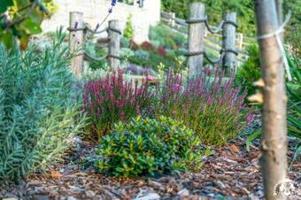 Agroturystyka Corno Owca