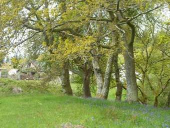 Bwythynod Helmau Cottages