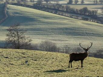 Lane Farm Cottage - Uk13131
