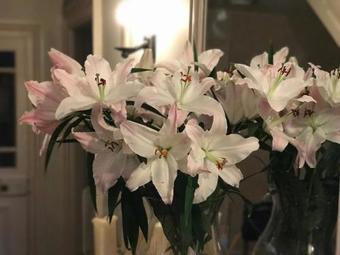 Church Farm House Bed And Breakfast