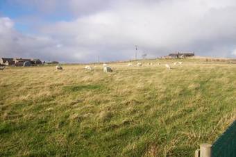 Tiffyhall Holiday Cottage