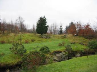 Bed & Breakfast The Golden Larches