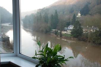 Bed & Breakfast Forest View Guest House