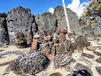 Raiatea - Bungalow Nautilus Pool