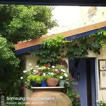 Bed & Breakfast Ble Mavi Studio-adults Only