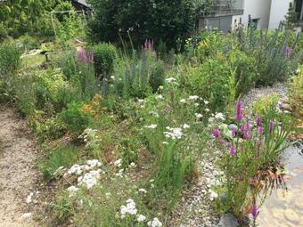 Ferienhaus Mit Naturgarten