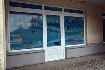 Hostal Aquarium City (1 Szoba)