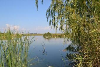 Apartamento La Llacuna
